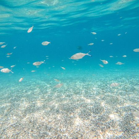Complejo Turistico Los Bayiyos Agua Amarga  Exteriör bild