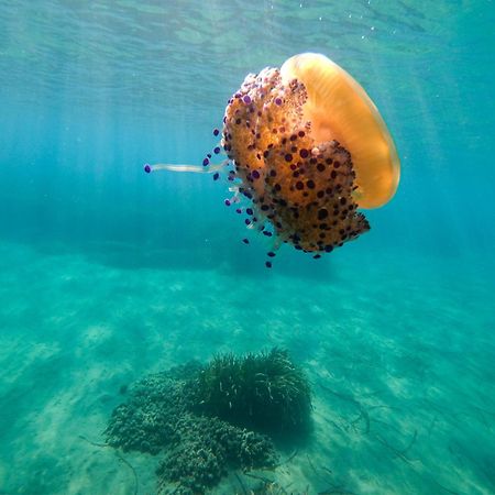 Complejo Turistico Los Bayiyos Agua Amarga  Exteriör bild