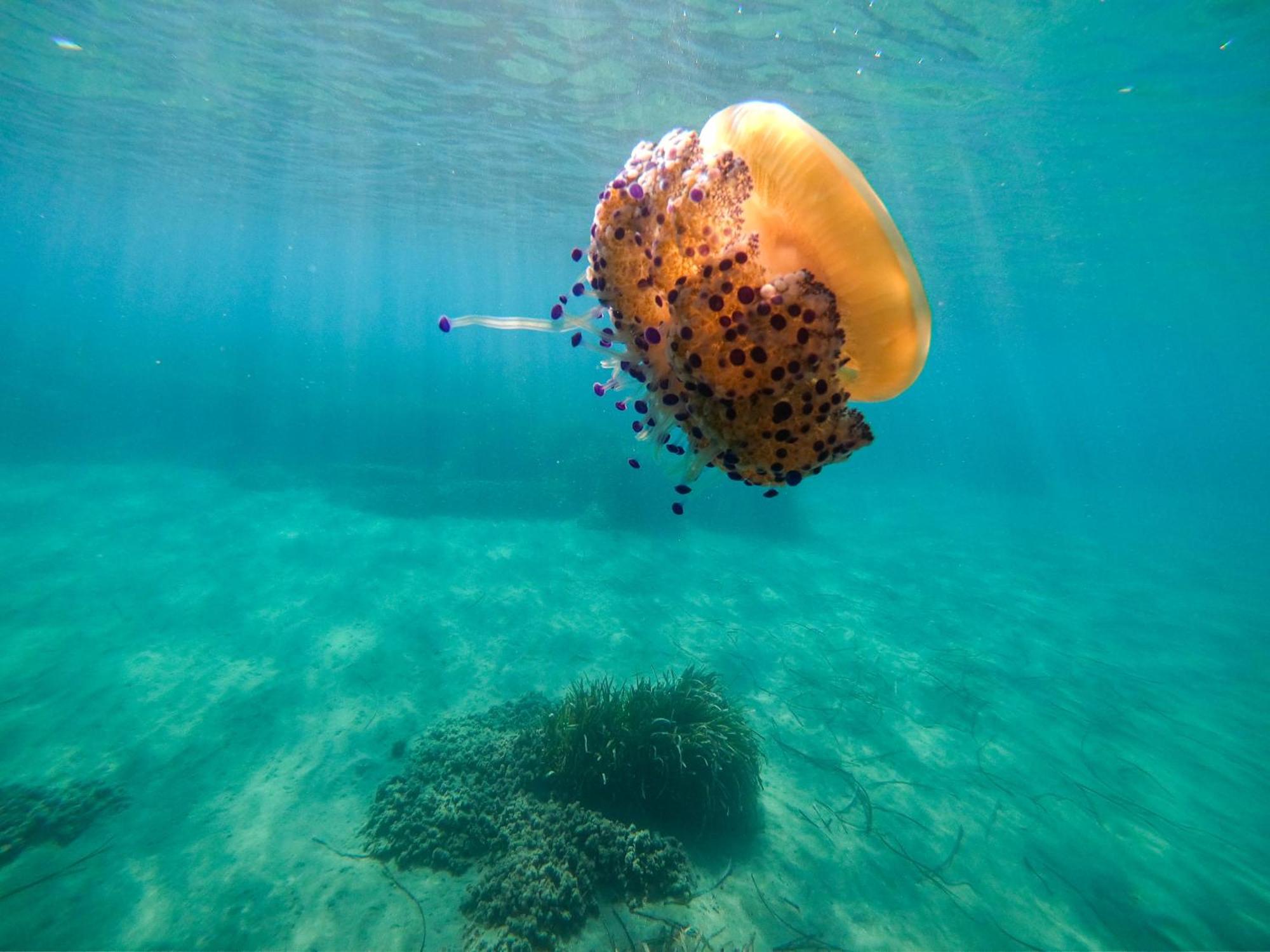 Complejo Turistico Los Bayiyos Agua Amarga  Exteriör bild